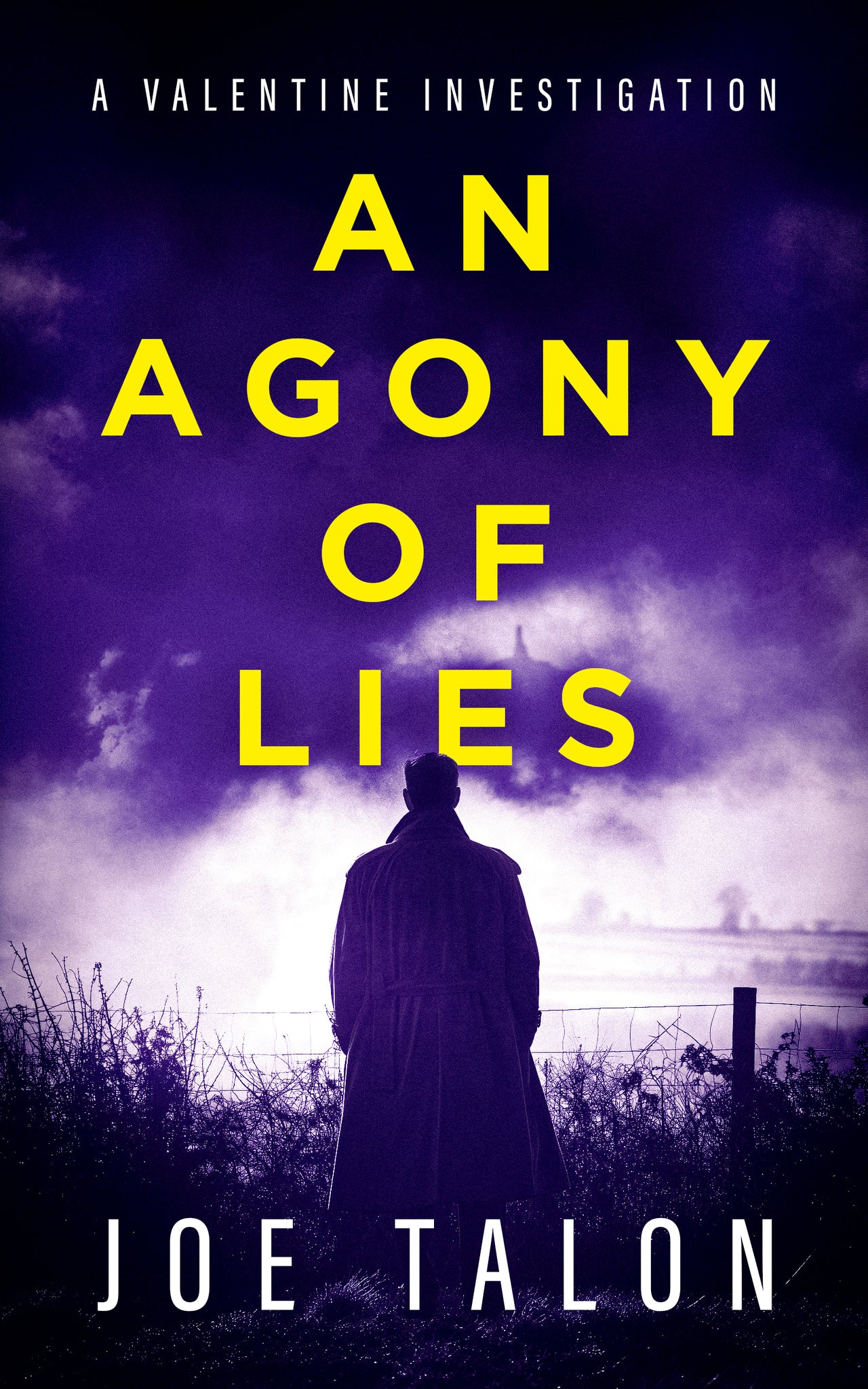 An Agony Of Lies
